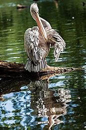 《GTA三部曲》或是2021年“2077” 玩家差评并退款